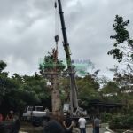 sewa crane jakarta